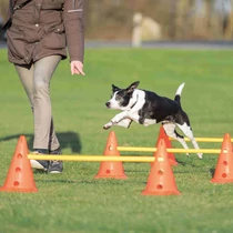 Trixie Sporting Obstacle Set - agility akadály (ugró akadály) 30cm x 50/100cm