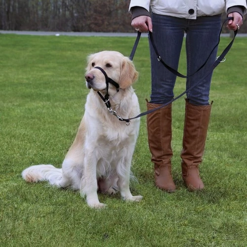 Hám Top Trainer Xl-Rövid 40cm,fekete