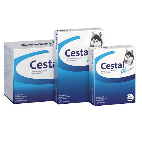 Cestal Plusz rágótabletta 200x